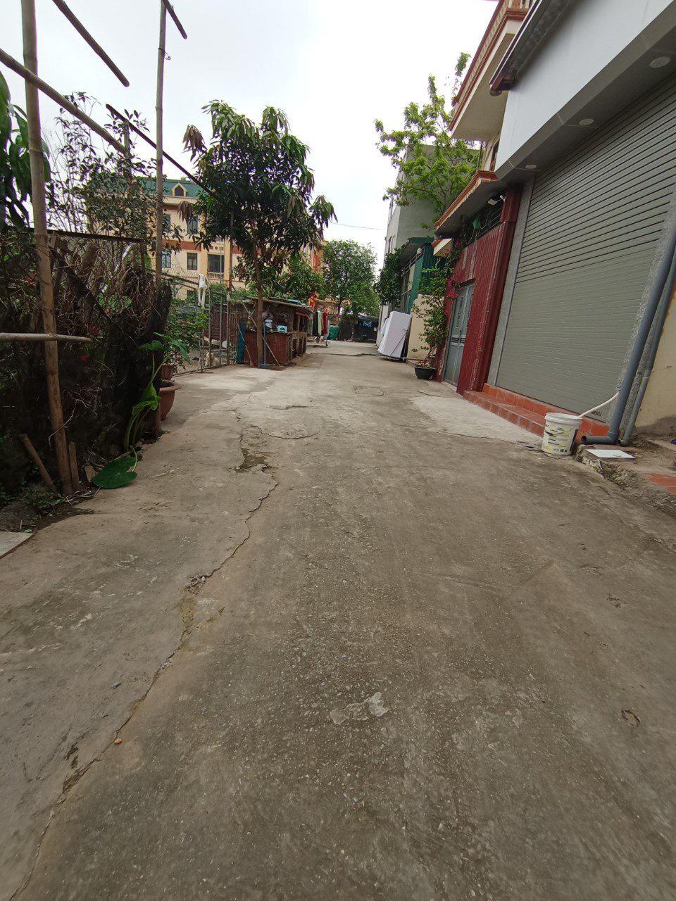 z5626735163367_afd9ffcc56ff47145a6a532a46266cd7