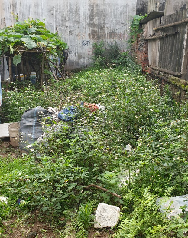 z5627920585174_bc2c322e4178e37cc116558a1c029be6