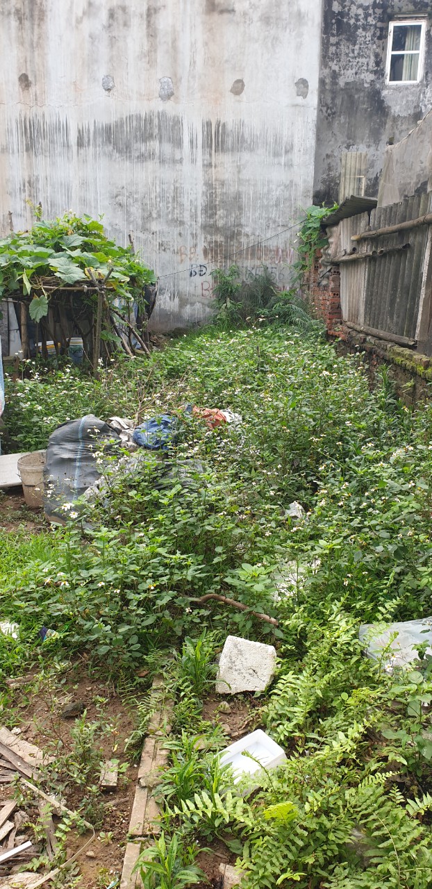 z5627920585174_bc2c322e4178e37cc116558a1c029be6