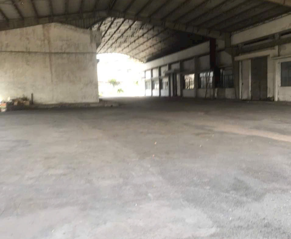 z5631303850815_7baf2305ebd88700b0e525b61406bd1d