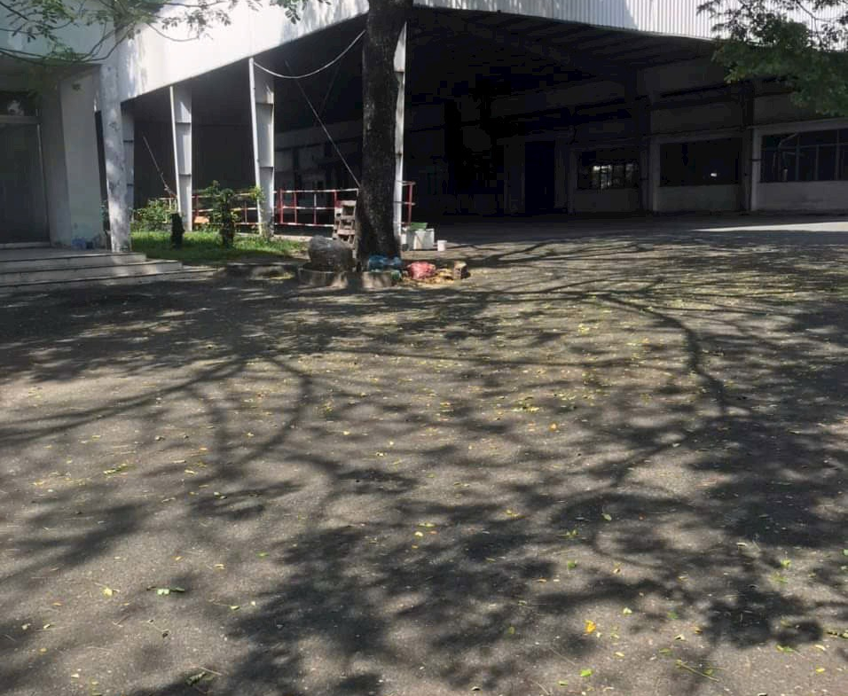 z5631303856519_e7c1a6d75ecc9dd340383099e66fcd8c