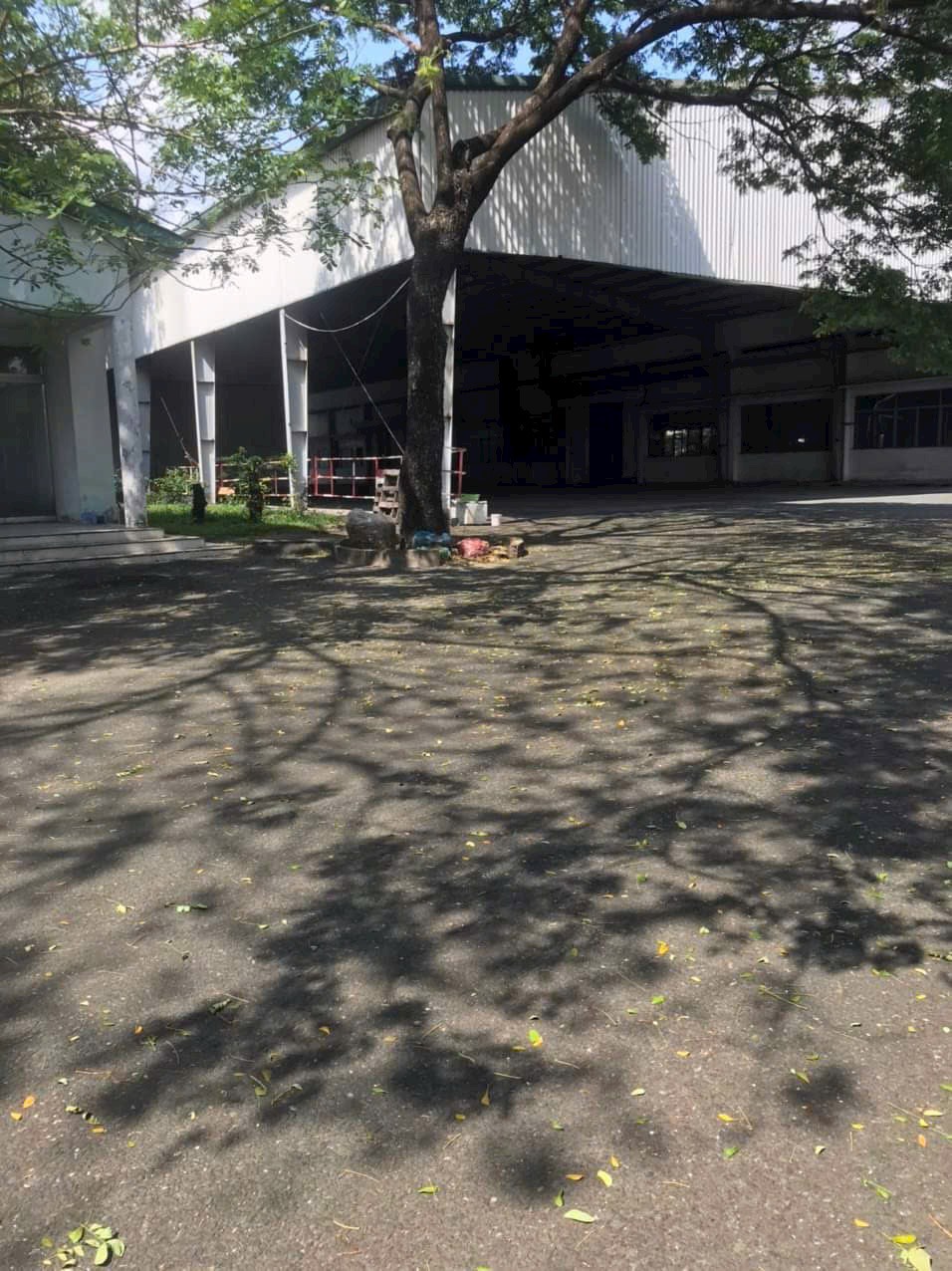 z5631303856519_e7c1a6d75ecc9dd340383099e66fcd8c