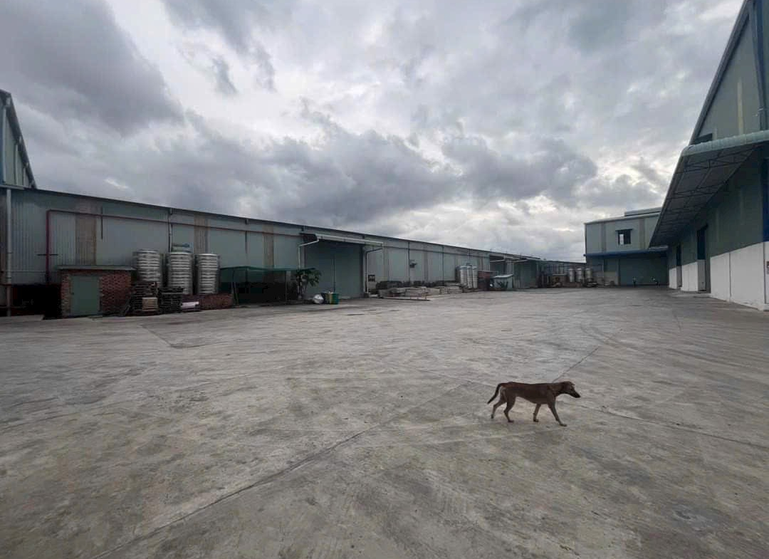 z5631308999114_4f2eb72219698fcc6f8608338110d63b