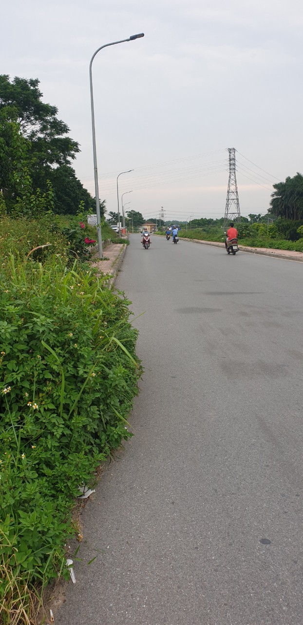 z5631853882163_da0bfedf98c095b39228a78255659b0b