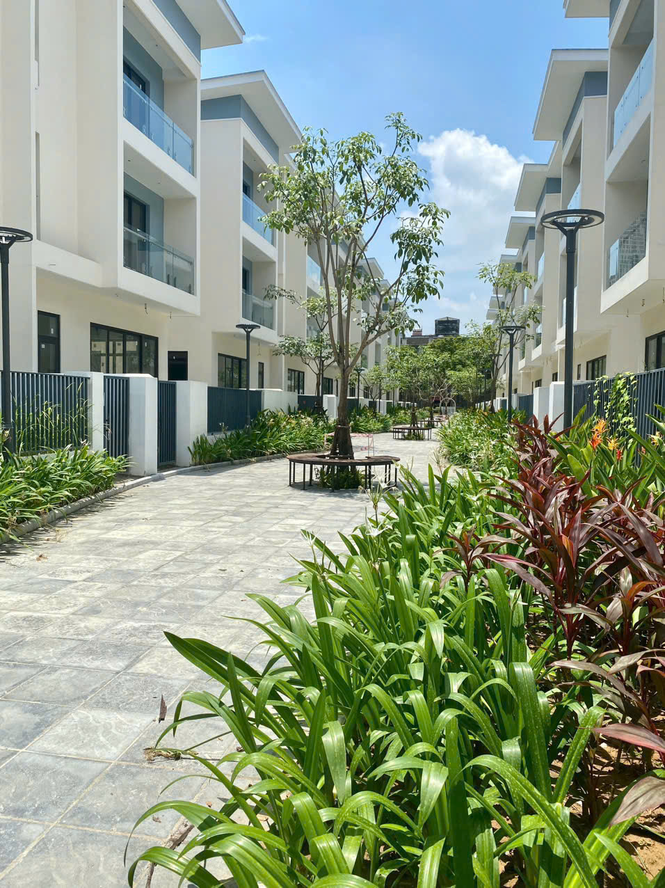 z5635466255695_263dfc655a9b5e98168e32cb01329c50