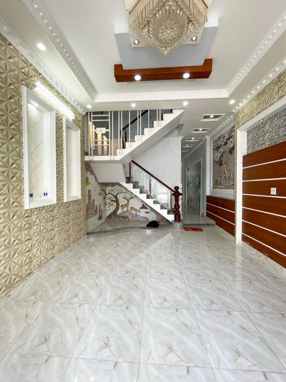 z5636813371608_467a4b17f9731711af3a454e3c24617e