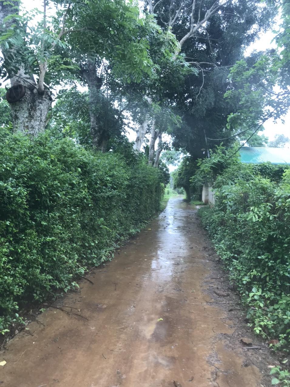 z5638462308921_08360de3d70f1e530eed99e23b25bb5e