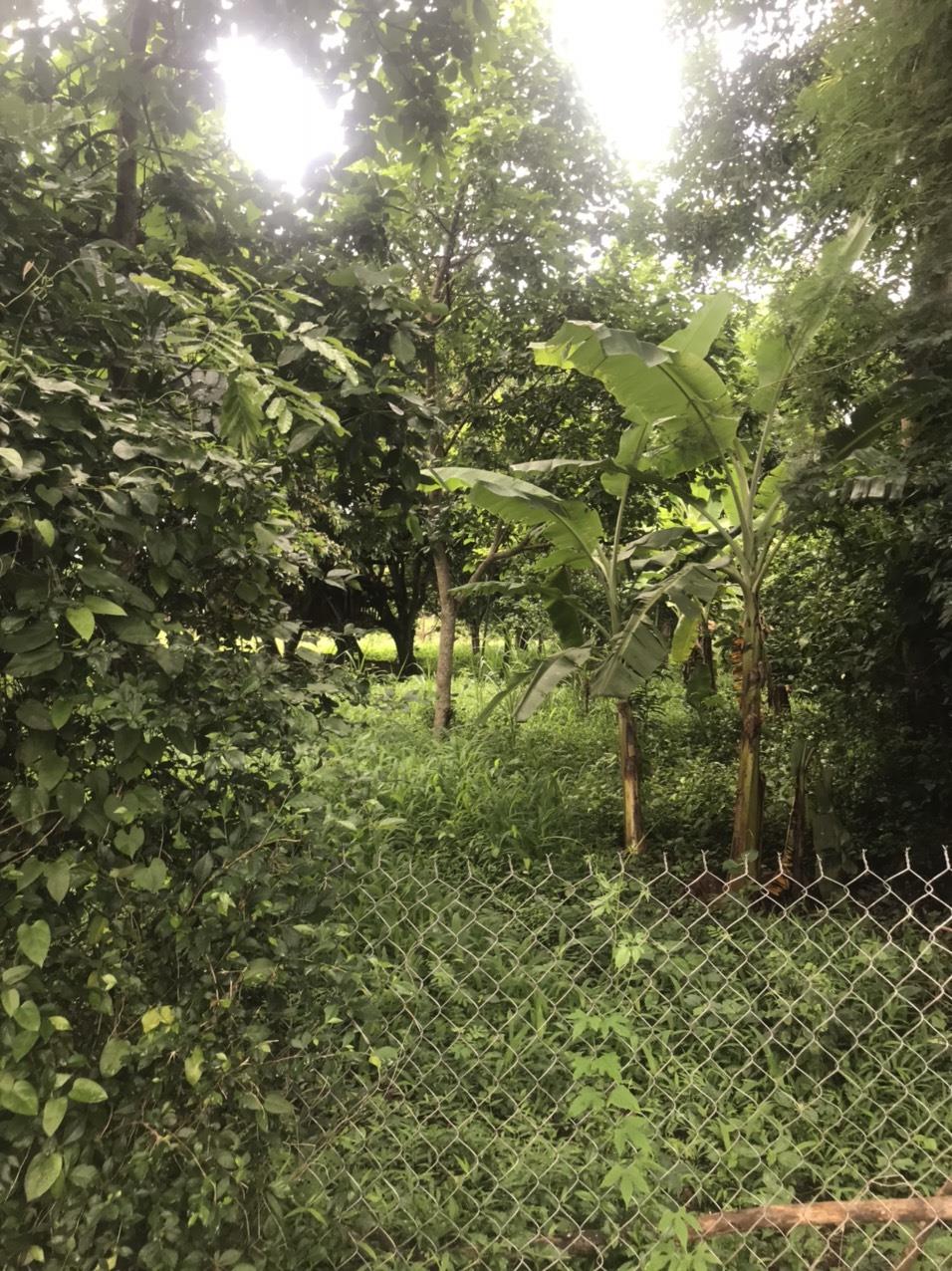 z5638462319923_4c23af5c9eb3d9784cf57dc84821c488