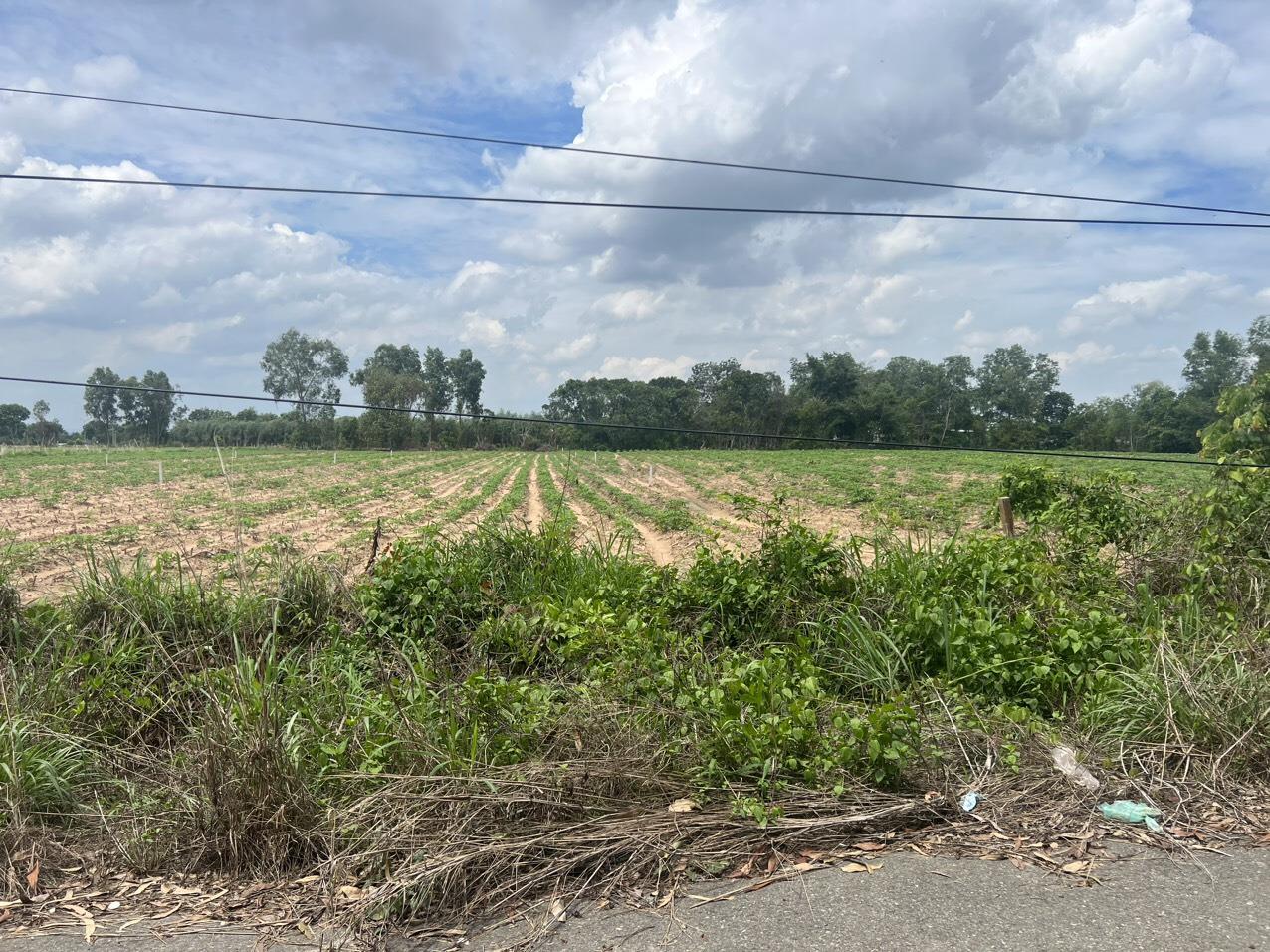 z5643926451470_12629f459e78d431fdcf21f2a751f98c