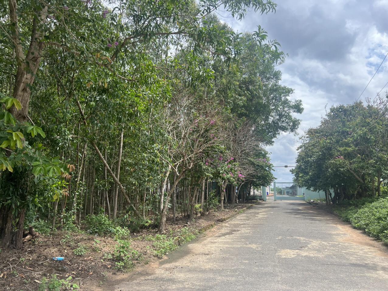 z5643926451472_4ecac58ace5b146235872a3540b4e1be