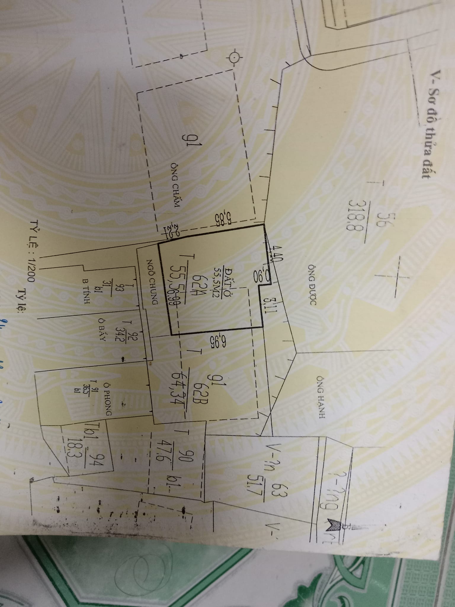 z5643931000648_9e92f0ed63f35b20373079911b86d8bb-1