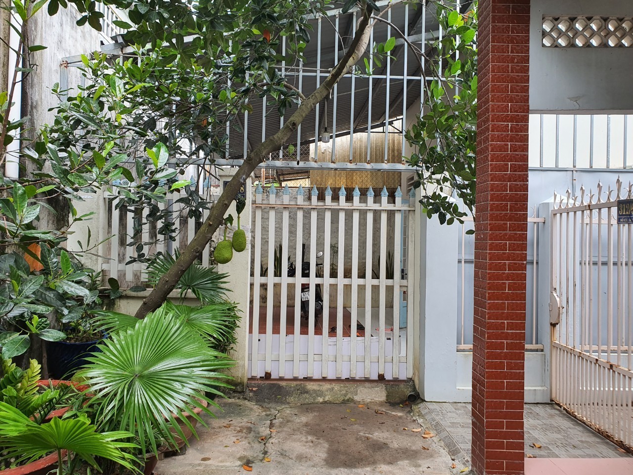 z5645191195886_b045d5af1dce2f6be0865cf703289e35