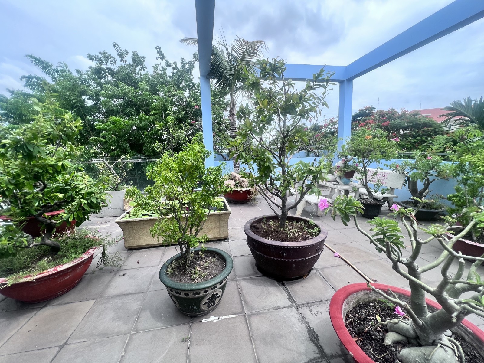 z5646115668586_e08058235e0633cec5e7d52a13b5471d