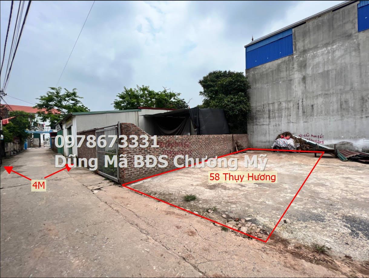 z5646145594930_91d51e7d49795b71a35c4117ff2e7941