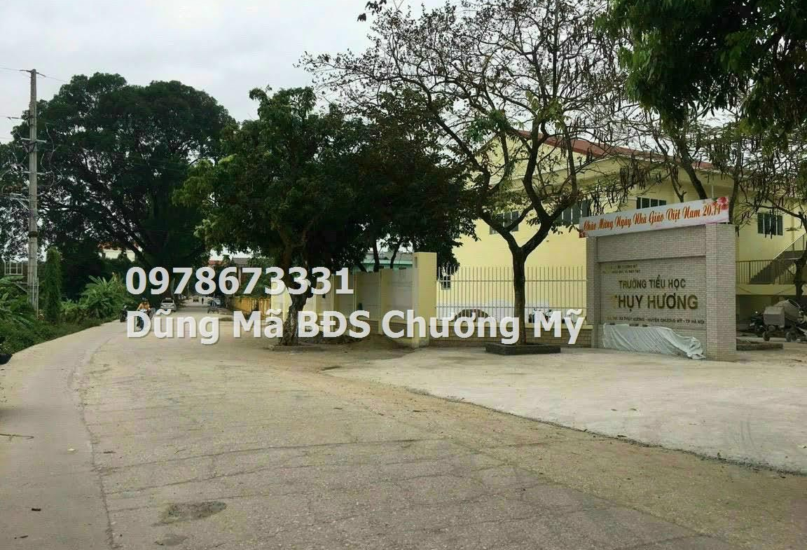 z5646145689764_d09865a5b121f274141851192eb824b3