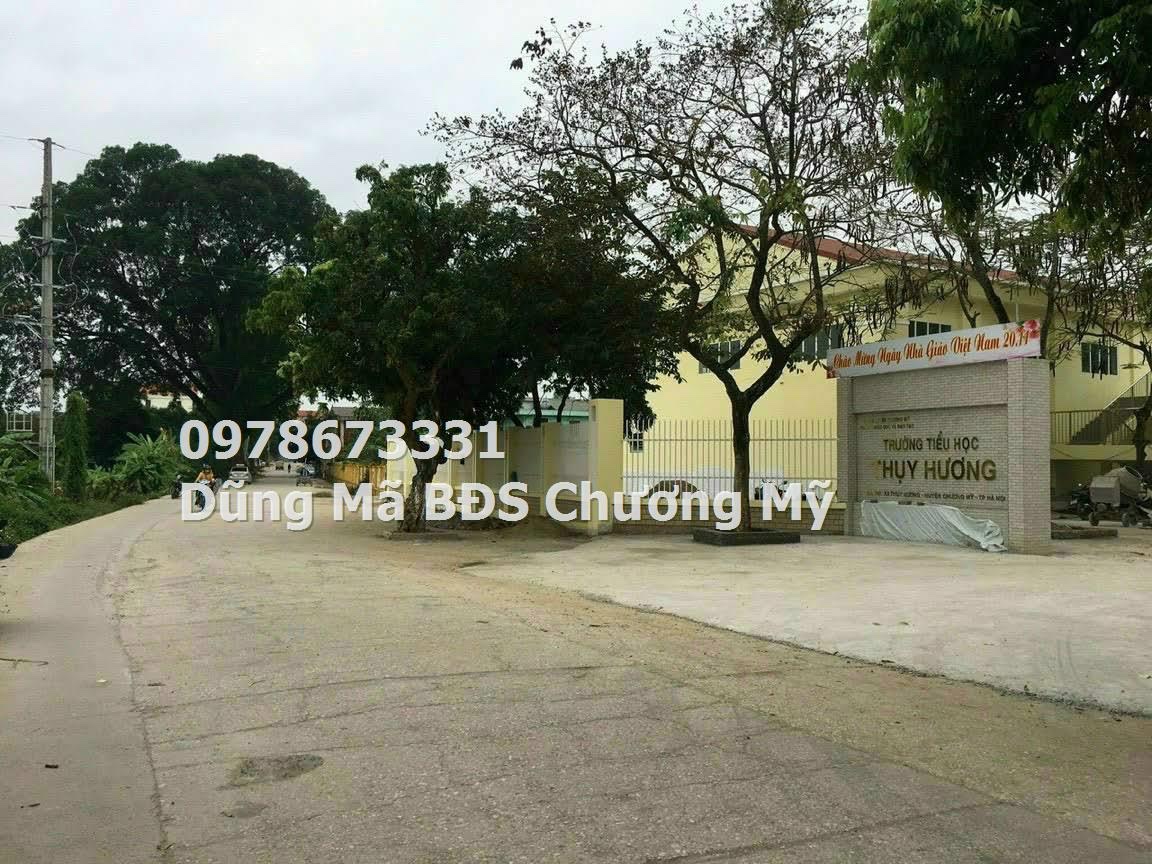 z5646145689764_d09865a5b121f274141851192eb824b3