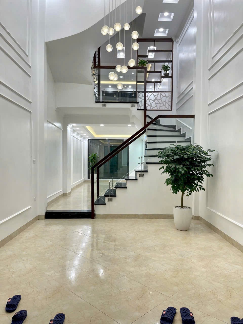 z5648464648548_a4d2c362c67569682c78620c19a0a76d