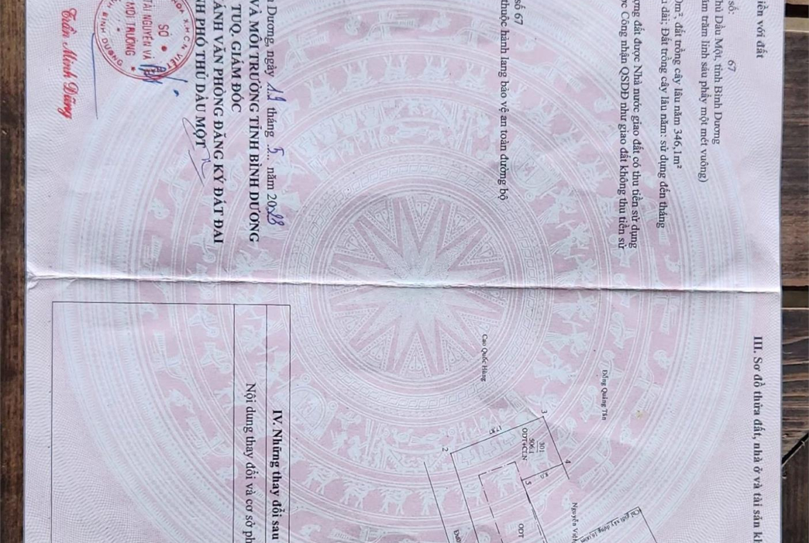 z5648974640042_a031613e6be988f6a0ba0ac598122c13