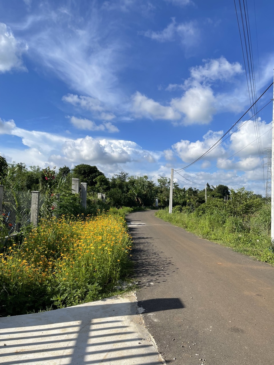 z5649345977775_cbc9ca5307191e0e1ced5321ba2bee9a