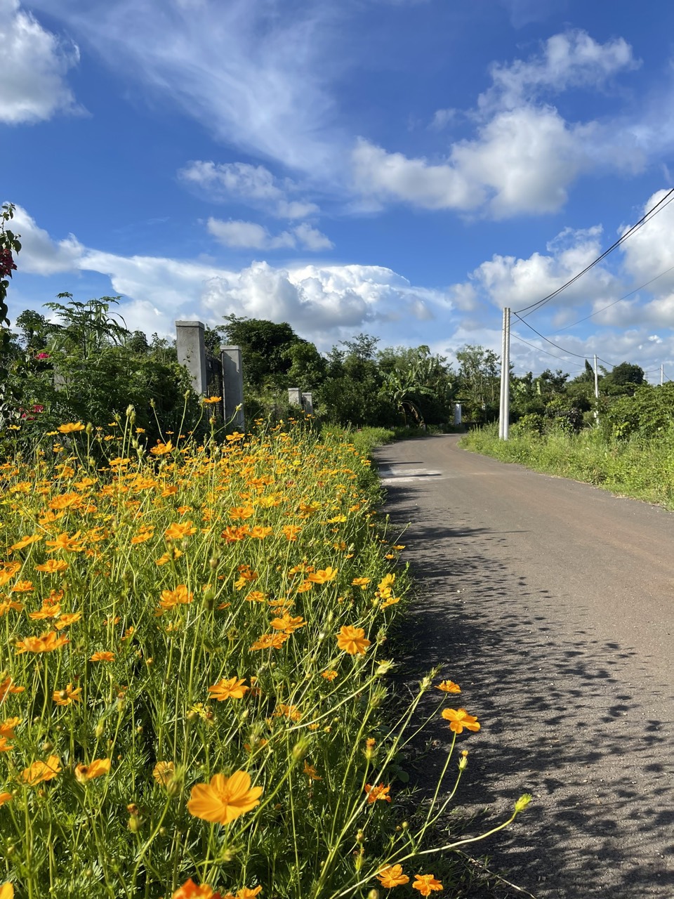 z5649345986352_eadc6e8bebc8e203dd2dd0863ad23066