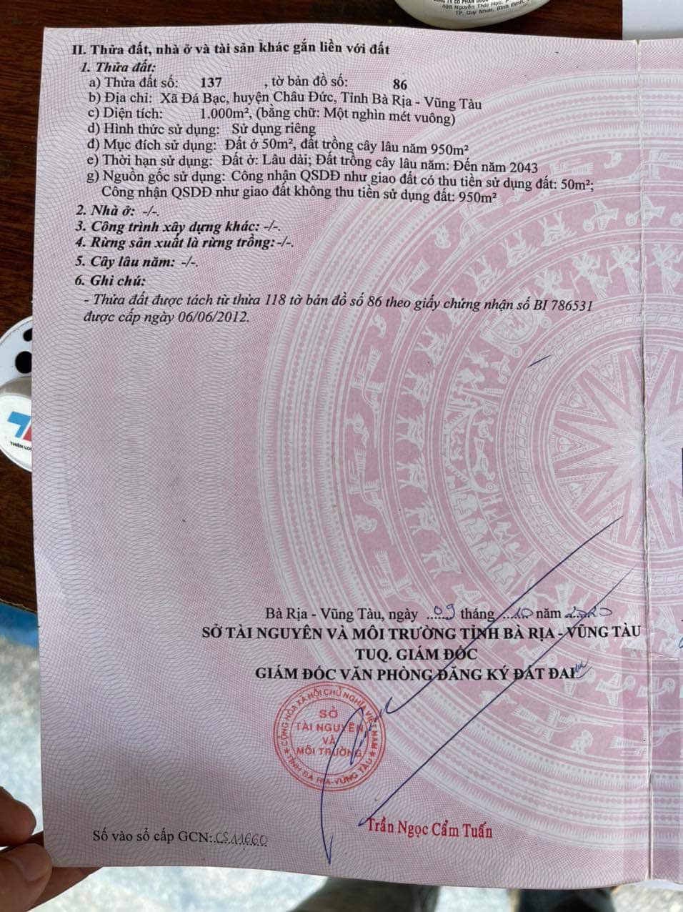 z5649346012840_4252910e74395562e4b415ff23f294ed