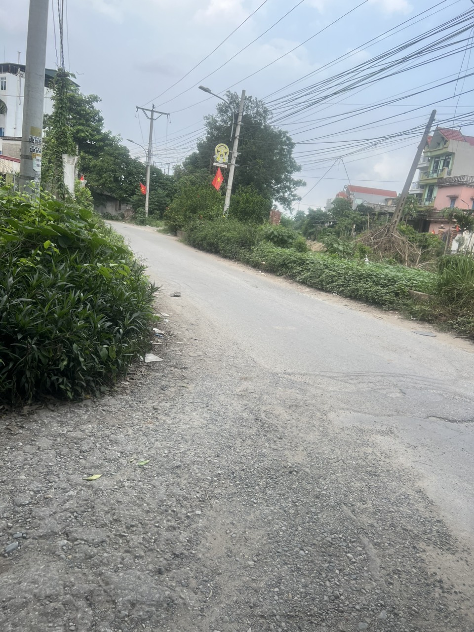 z5650551051631_b210d04131e97becdb53436a28dbbf7e