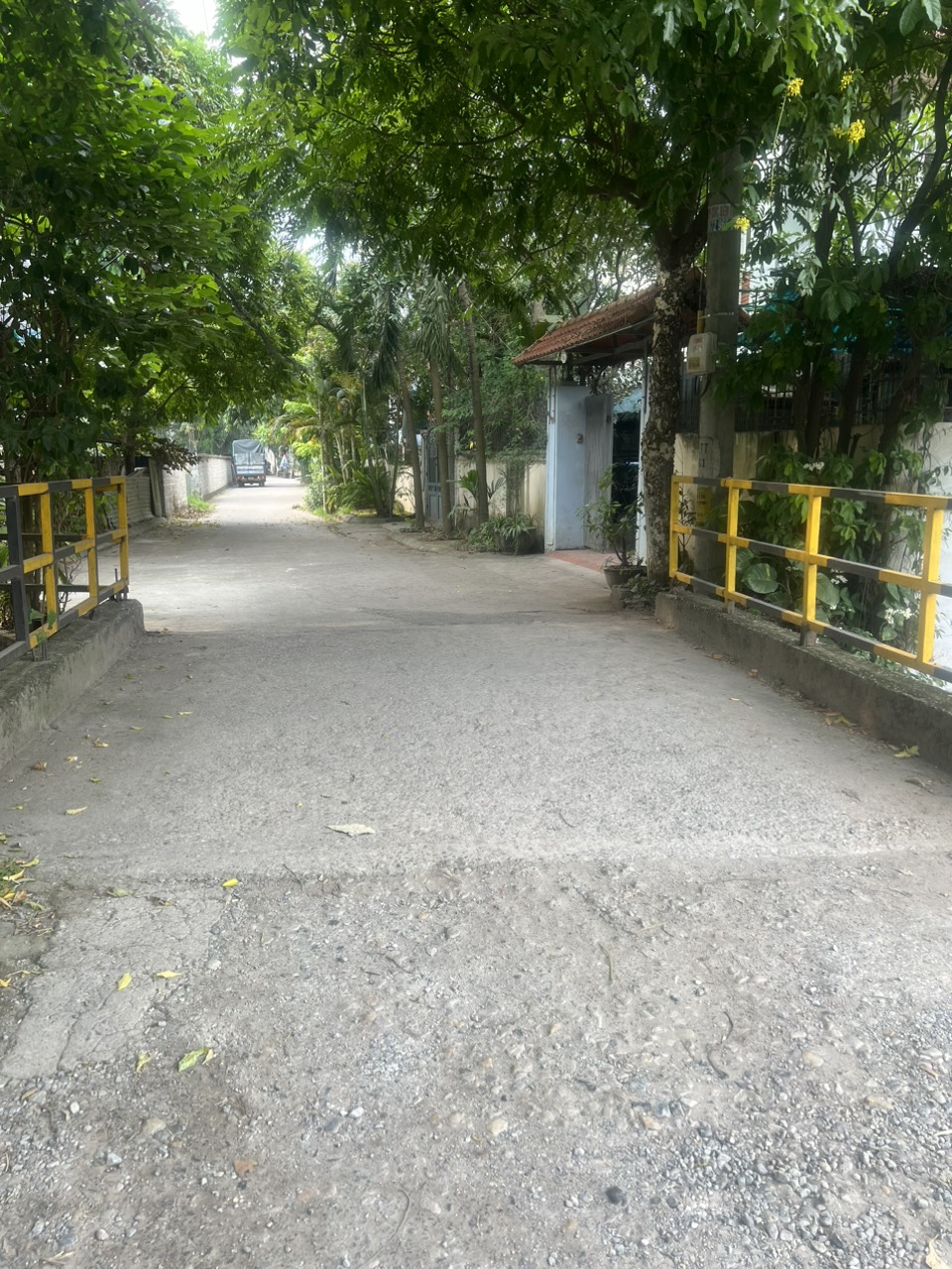 z5650551056908_8916a922bb34c12f7f1b4b8d29ddf603