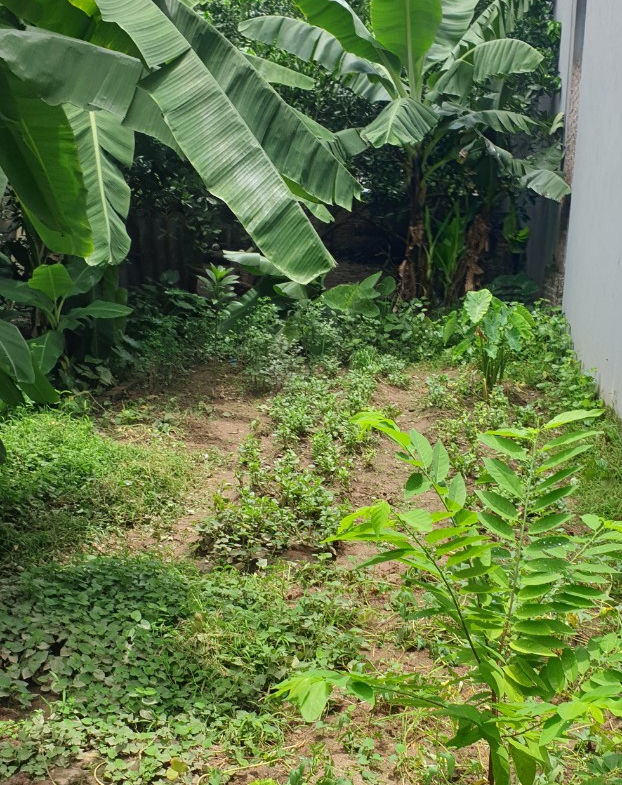 z5651397670328_40b24e0132c502c6528dfd93504780c1