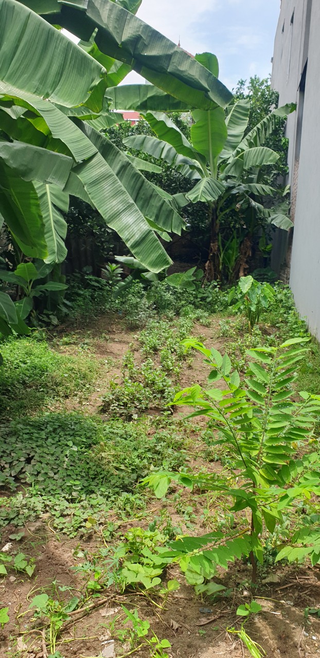 z5651397670328_40b24e0132c502c6528dfd93504780c1