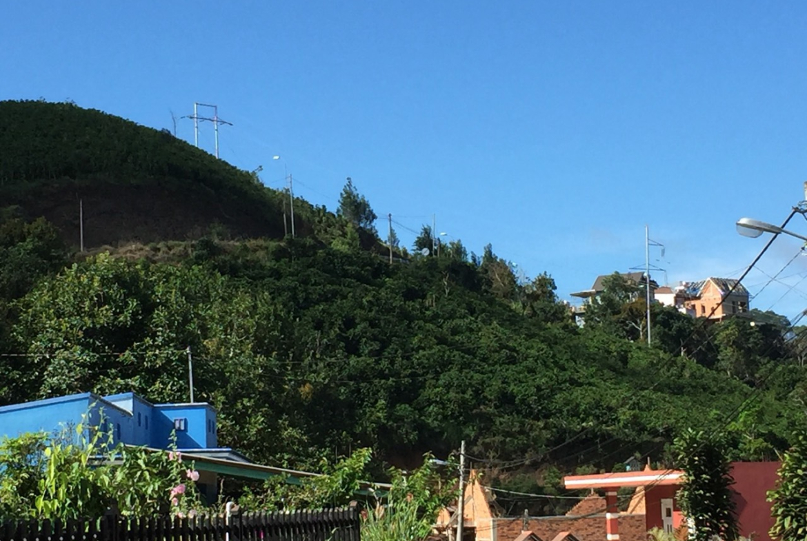 z5652071626260_e773d72aab9089c7ab4e89464c1a9621