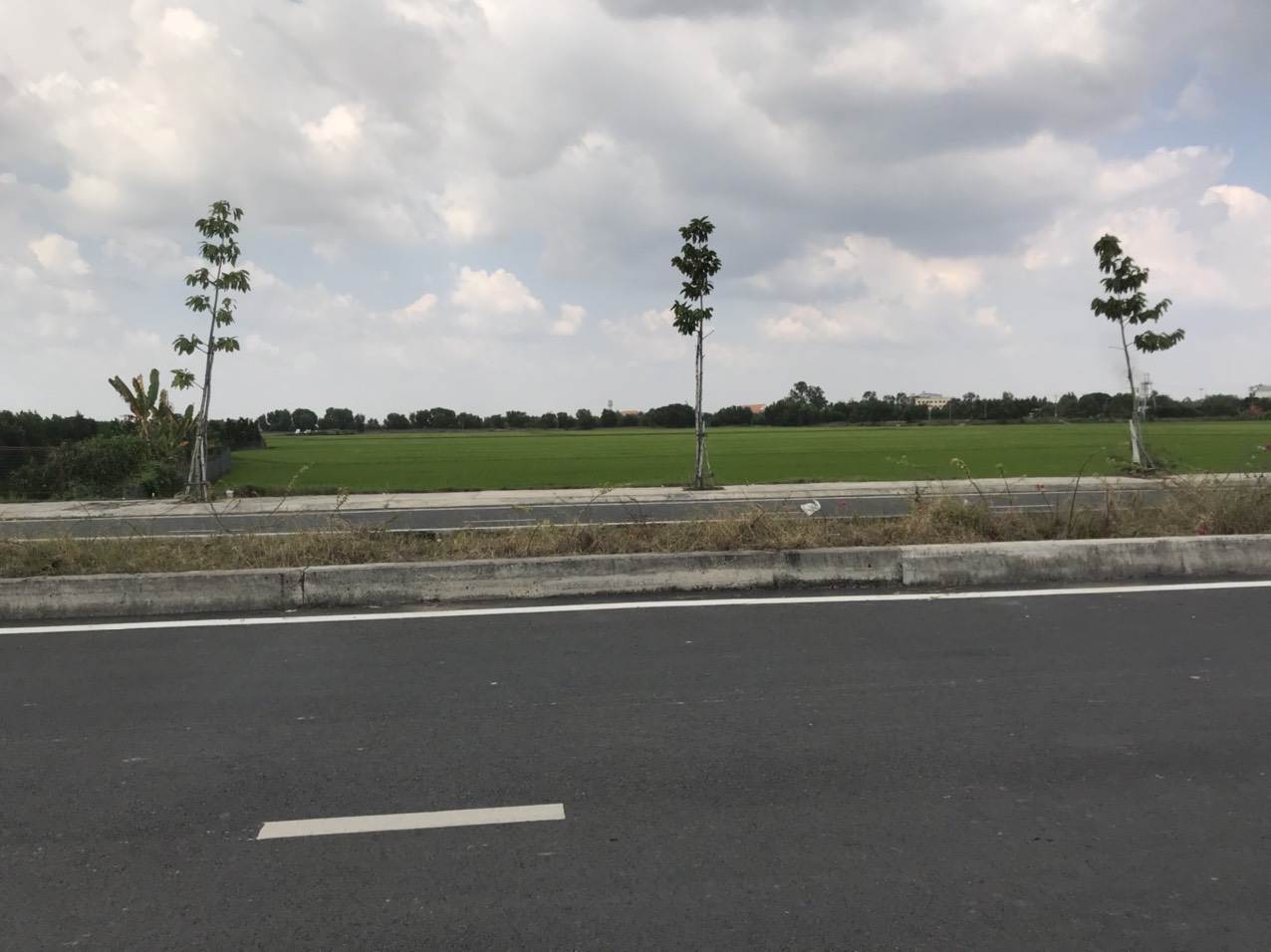 z5653248637329_f7ac9614120a00d0c0f69b730daeadf3