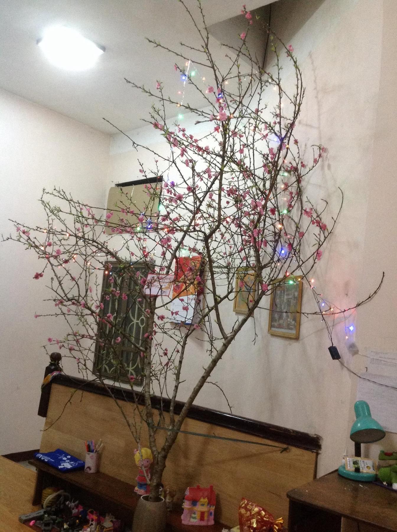 z5657628450852_85d12d7a30d51f4a362941e41d8c2738