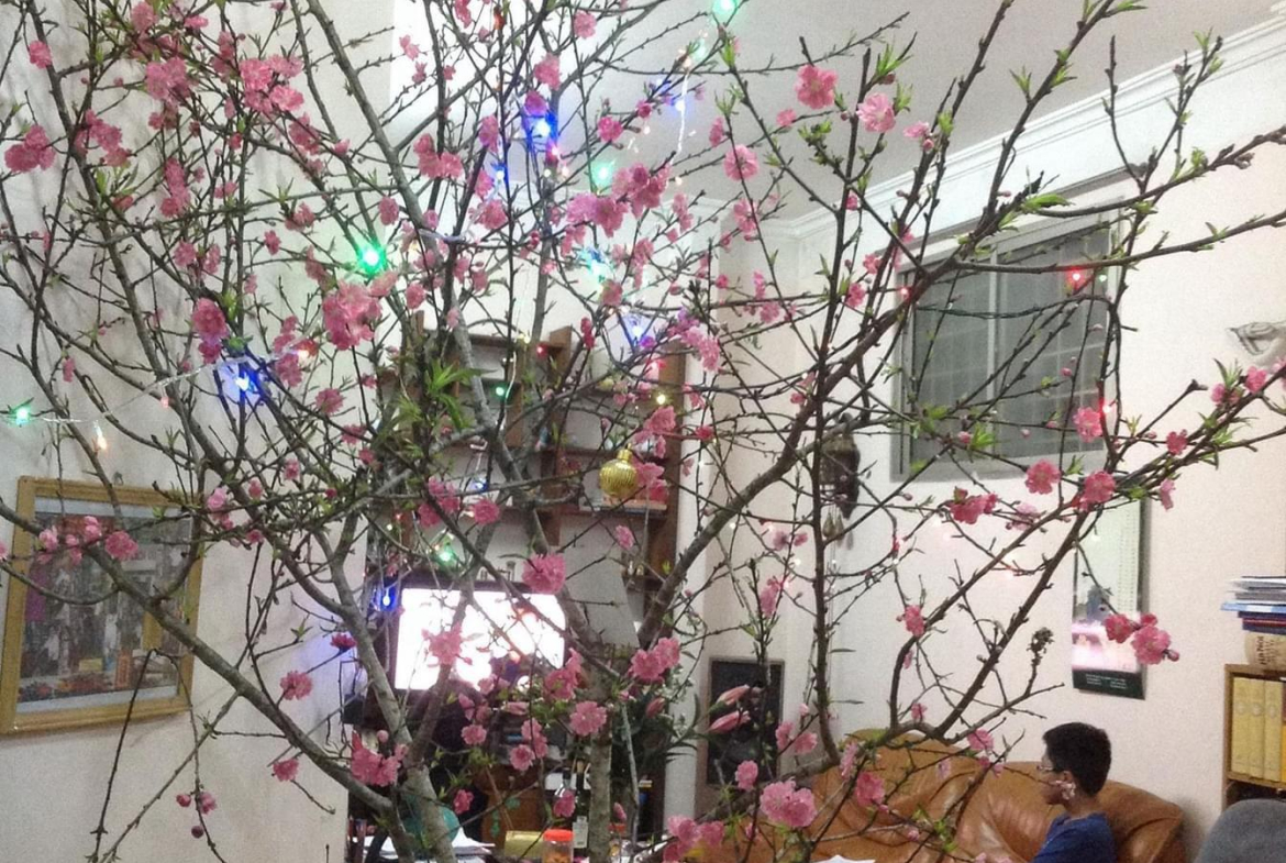 z5657628450911_82422531555ca16403c14eb5a045a5f7