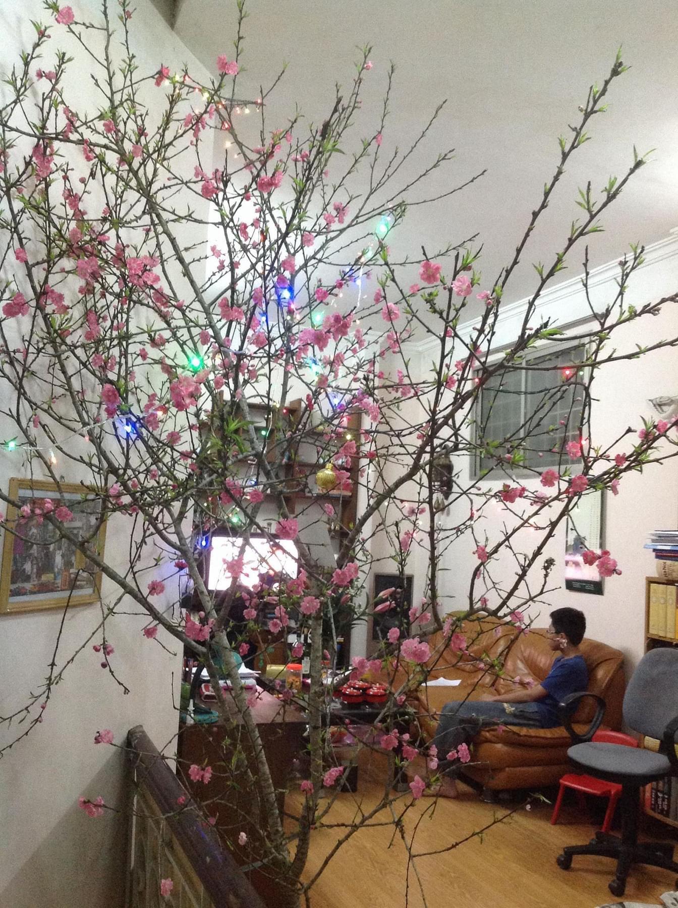 z5657628450911_82422531555ca16403c14eb5a045a5f7