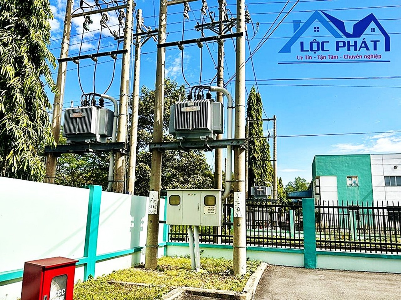 z5658317391631_3603cc6ed0aa96302ff0eed8f07bf835