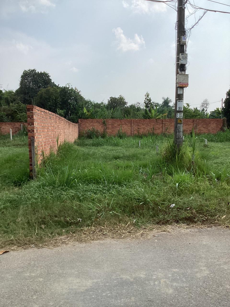 z5659695118625_61845e908a66d33d5d2599830e3521ae