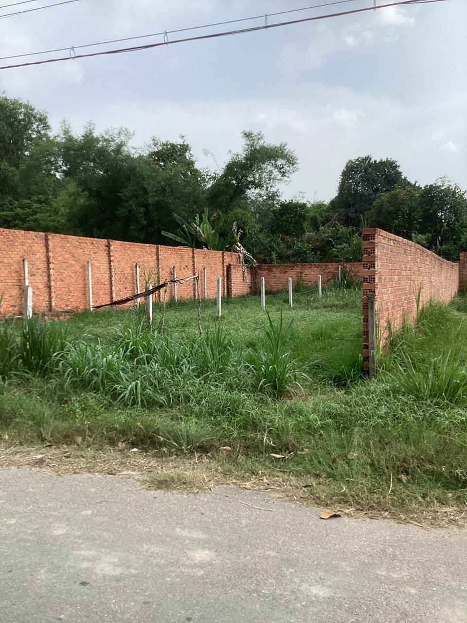 z5659695118627_4d097cdc326e86a15b15481e6594c95b