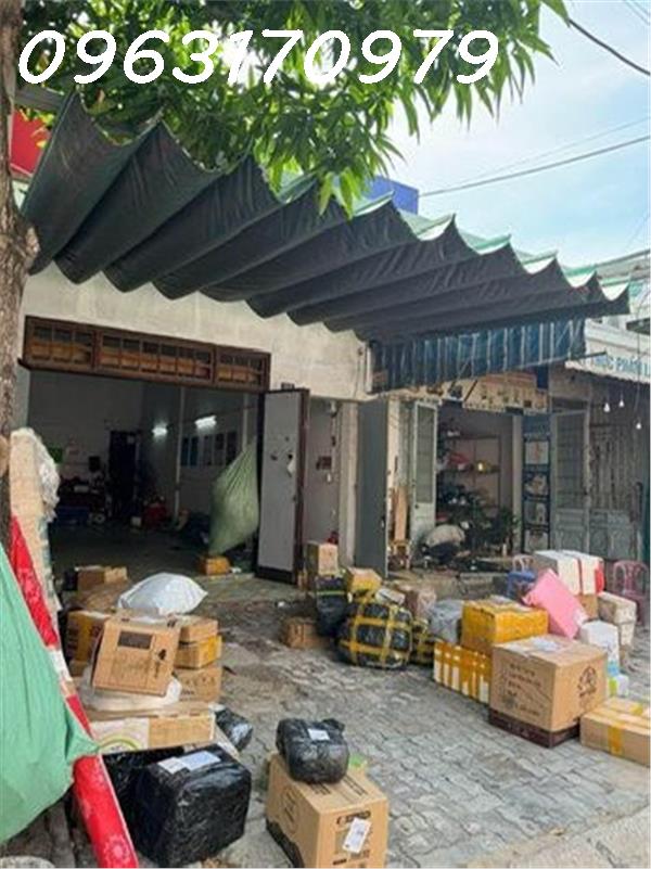 z5660423341467_98ed4c01612eada49642a1c25272c1e5