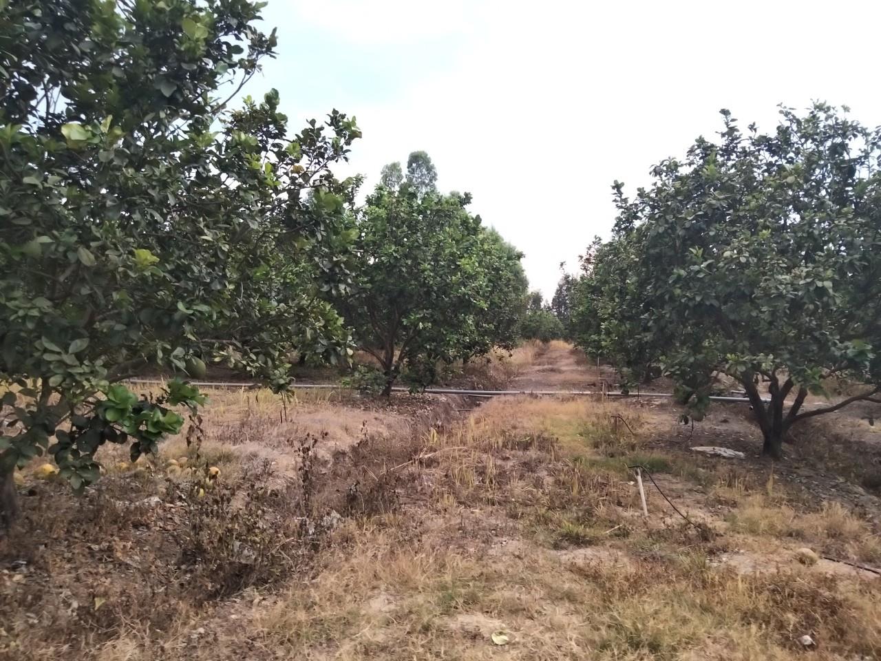 z5663451237630_e47f2fd6e59f3801470b8600ec31f50e