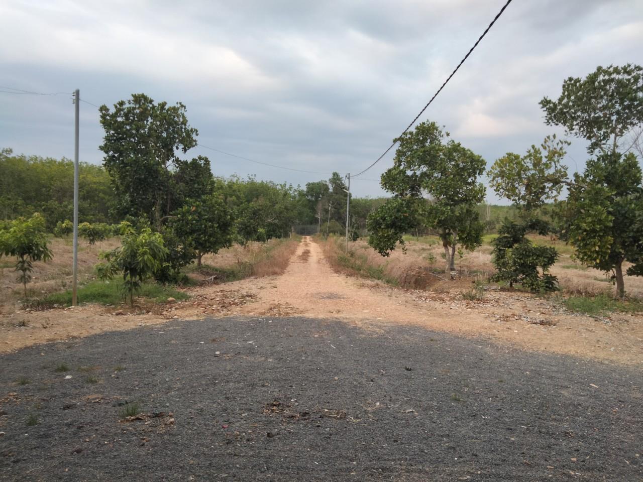 z5663451237635_b9ace97c611b0653fa17ffcc256a0122