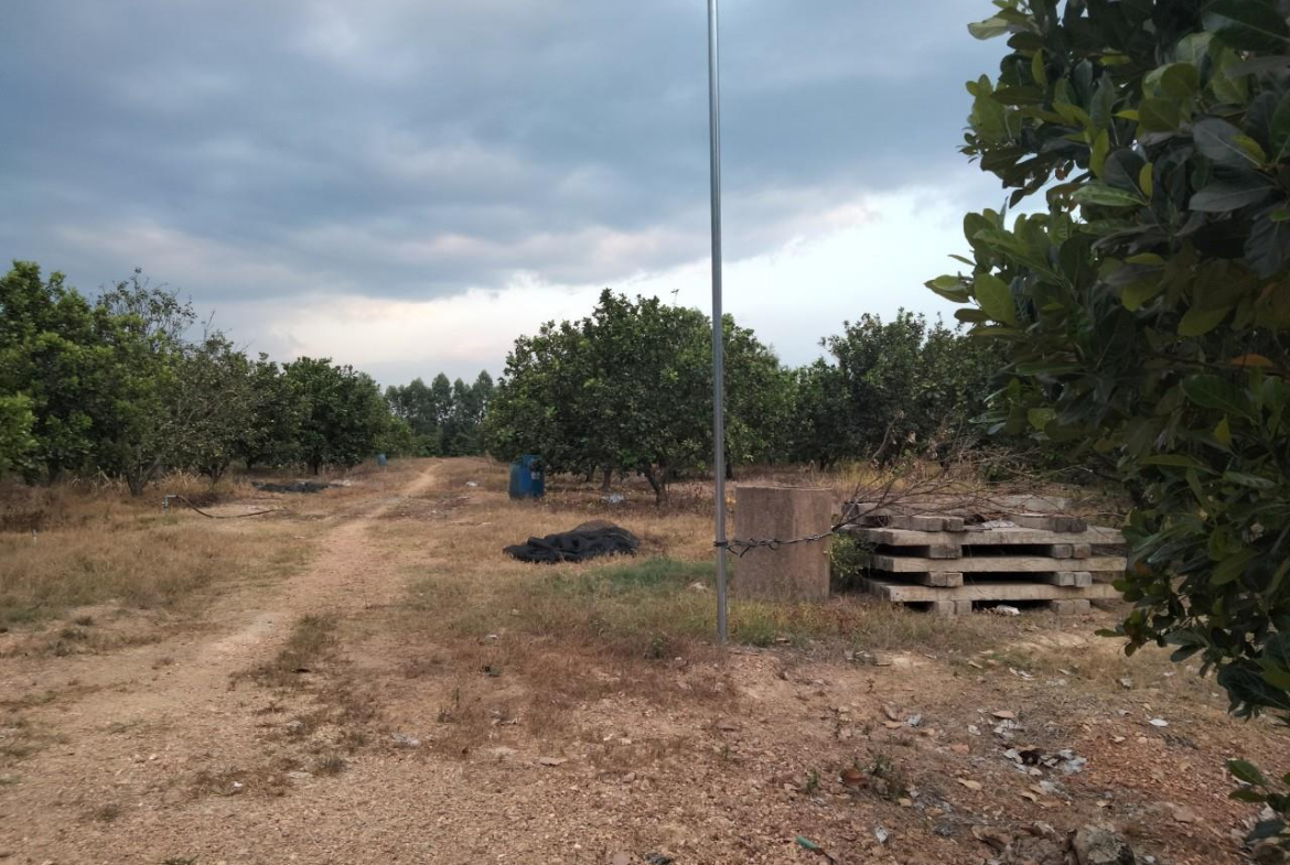 z5663451237636_0498c850911bb3e58ee2479f72e5f376