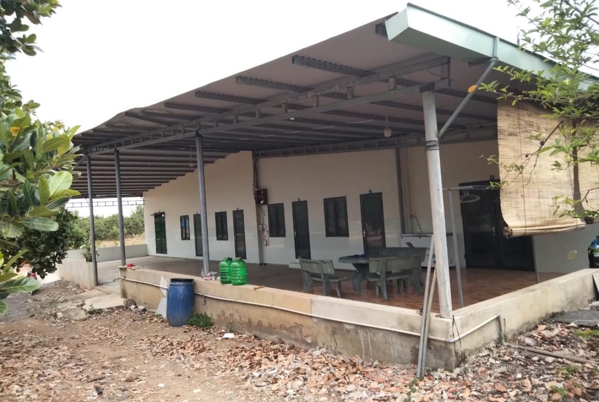 z5663451237637_f0b7090819c22002eb97a9fc305f08d1