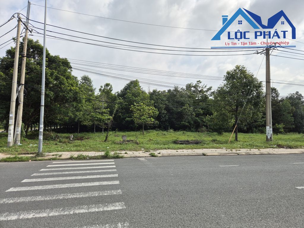 z5663771801056_b01e964a5296ee262425860888717ea7