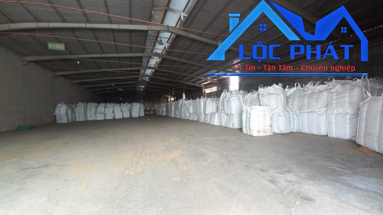 z5664106490114_3779836dfb8a1d611c32aaf6f20a4135