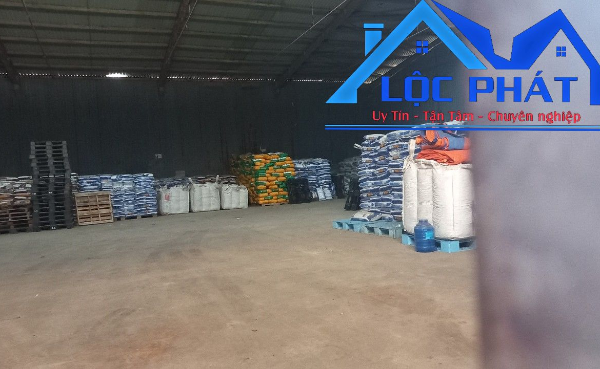 z5664106493031_dcde1a3e831317f42837f8b2c15beeeb