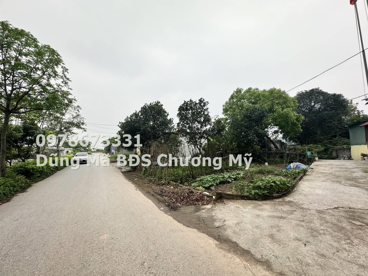 z5665096979508_5c200a4f0ccb681edad3eb0ea51d0157