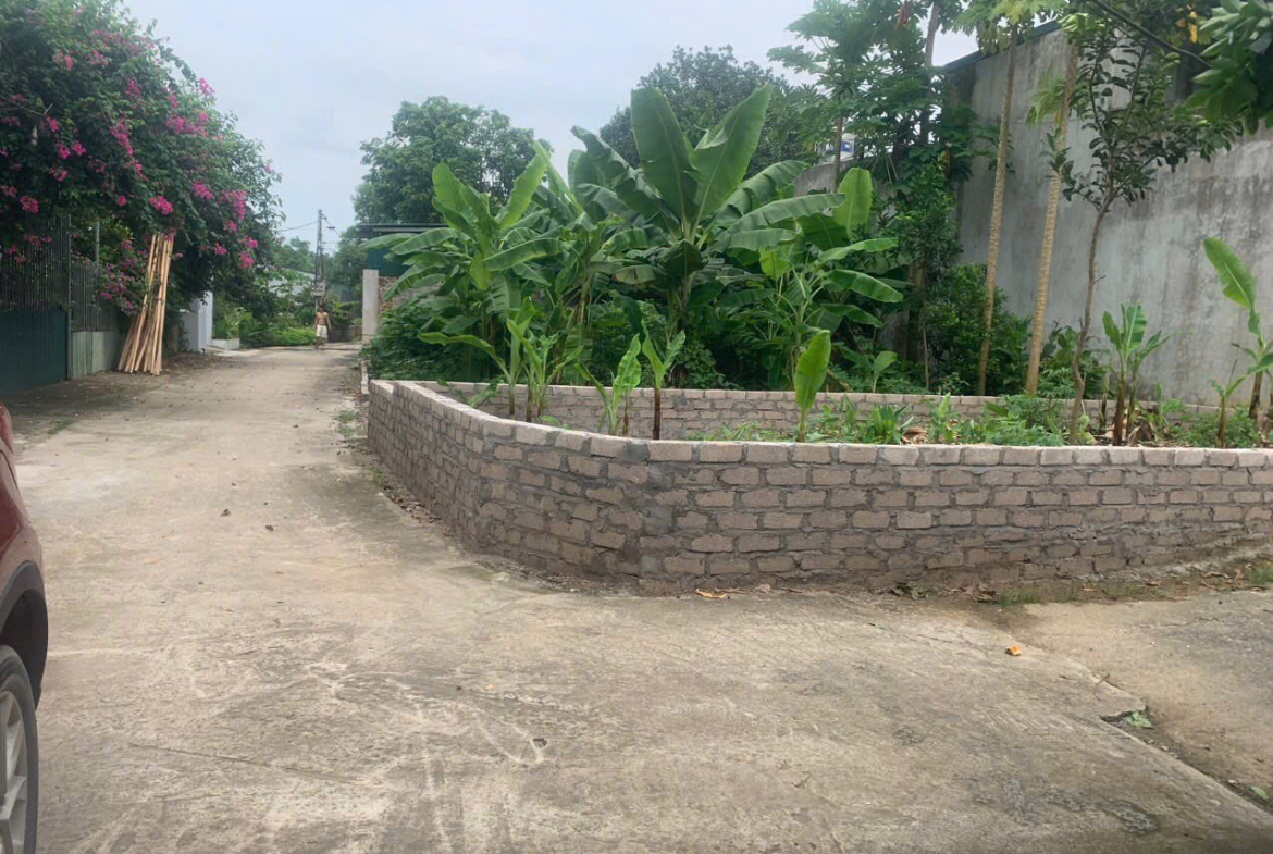 z5665787613957_acd6b5184438337d7e3ac0c24003b302