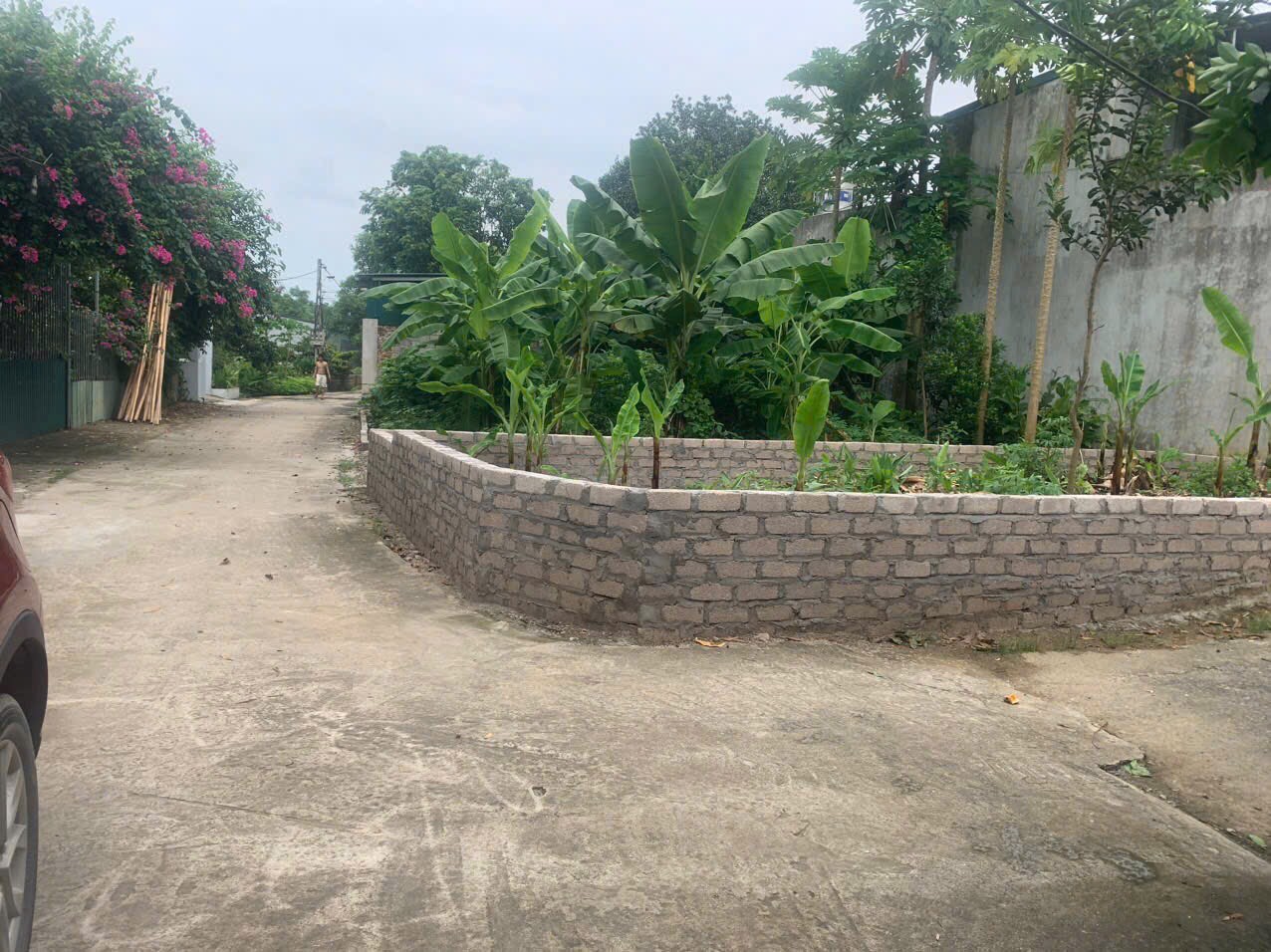 z5665787613957_acd6b5184438337d7e3ac0c24003b302