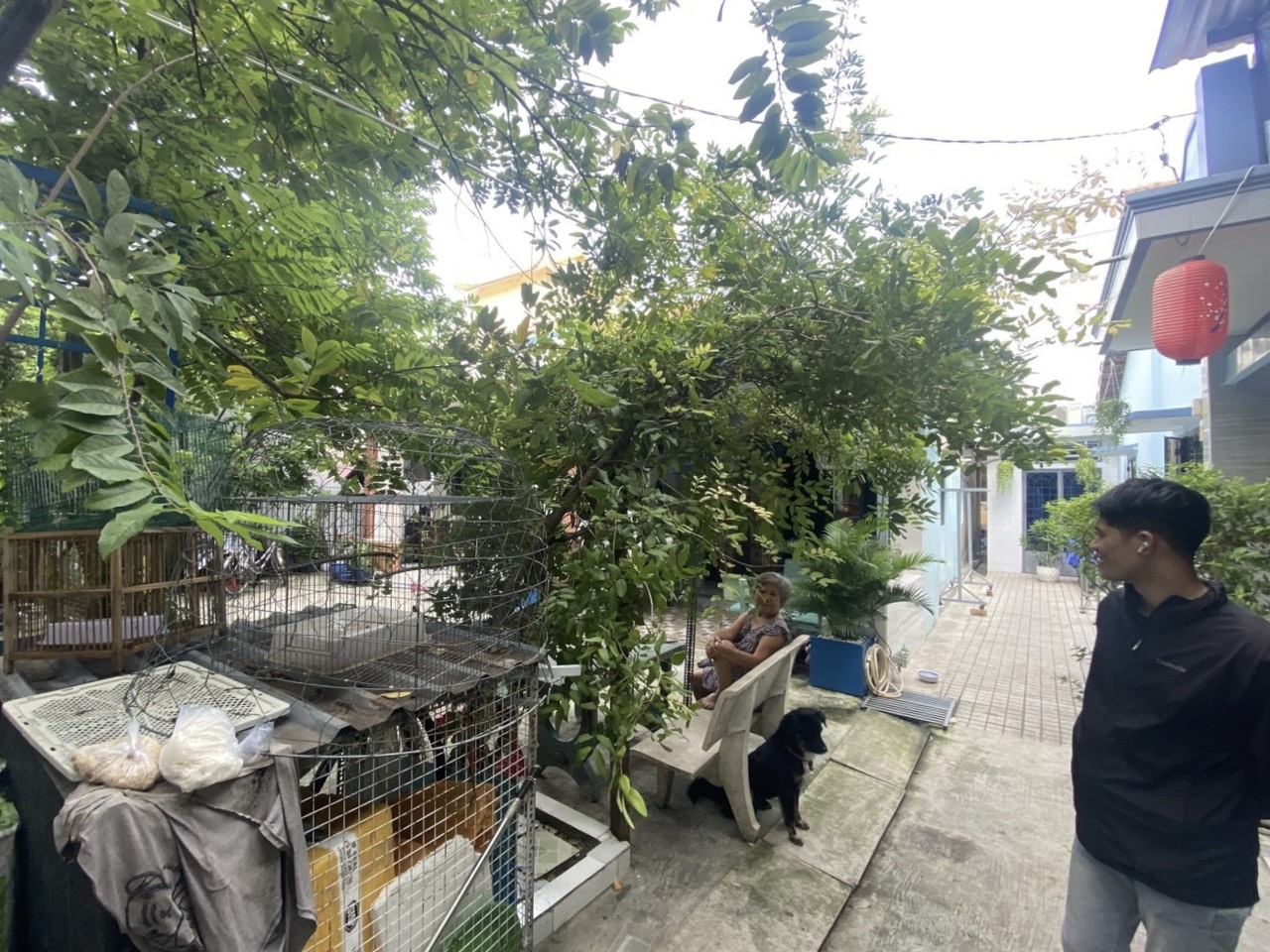 z5668243249993_ec25b378f6a73e81b31318778fdbb245