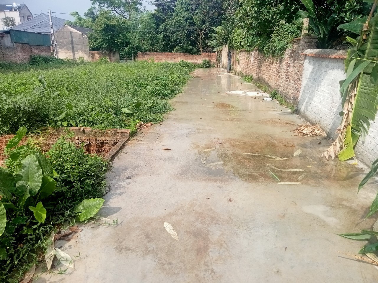 z5670667856487_6d3e1e430240132c8126836225953e01